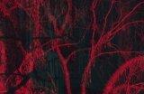 《心灵杀手2》团队确保性能和画面达到最佳状态