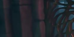 《上古卷轴4：湮灭重制版》法师装备选择具体影响介绍