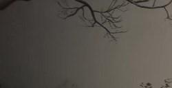 《黑神话：悟空》火灵砂怎么获得