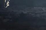 库克与网易CEO丁磊会面 为了观摩一款游戏