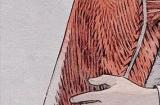 《最终幻想战略版：伊瓦利斯编年史》公布 登陆PC、主机