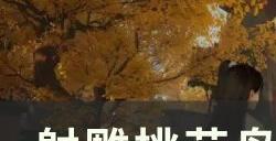 《射雕》桃花岛轻剑奶怎么搭配 桃花岛轻剑奶入门攻略
