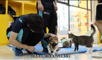 广州冲锋队助力宠物公益，成立冲锋宠物关爱基金722.png