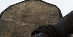 《猎杀：对决》毒蛇作用分享