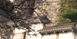 《刺客信条：影》全神社参拜地点一览
