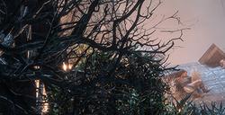 《龙腾世纪：影障守护者》快速击晕敌人方法介绍