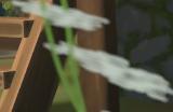 《奠基》蔬菜和草药获取方法介绍