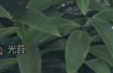 《怪物猎人：荒野》快速刷调查点方法介绍