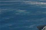 《碧海黑帆》海盗传奇奖杯怎么解锁