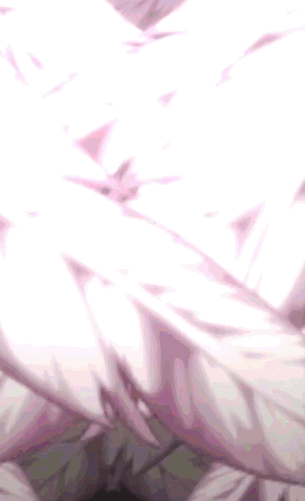 7.gif