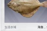 和平精英钓鱼大赛每天上限多少