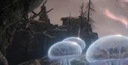 艾尔登法环联机道具怎么获得 联机道具获取方法详情