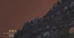 《怪物猎人：荒野》沙海龙弱点介绍