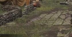 艾尔登法环关卡前废墟在哪 关卡前废墟全流程图文攻略