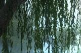 武侠也吃鸡？！ 《斗笠江湖》海量竞技玩法让你停不下来