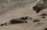 《猎杀：对决》火男爆炸自然死亡算玩家的人头吗
