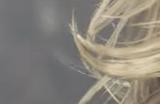 《怪物猎人荒野》桑吉尔夫捏脸数据分享