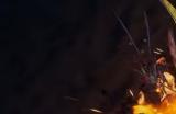 《最后纪元》神射手技能爆炸箭有什么特点