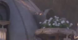 《无限暖暖》花愿镇回收衣服位置介绍