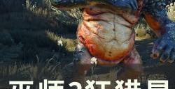 《巫师3狂猎》昆特牌怎么玩 昆特牌新手入门教程