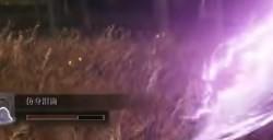 《艾尔登法环》dlc幽影树的化身分享