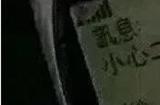 cp29结束了，我最羡慕的竟然是一只猪
