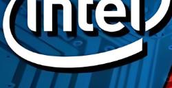 2024 Q4全球GPU出货量增6.2% NVIDIA不增反降