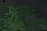 汉字找茬王夜跑惊魂怎么通关 夜跑惊魂找到异常之处攻略分享