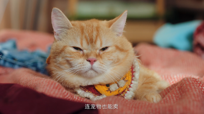 https://img.toumeiw.cn/upload/images/20220727/a3faefe9aec404c26e201a63b0cf1671.png