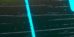 《赛博朋克2077》2.1更新将和终极典藏版同步上线