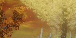 艾尔登法环幽影城灵灰在哪里 DLC幽影城灵灰获取攻略