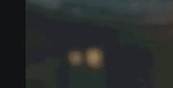 《黑神话：悟空》紫芝怎么获得