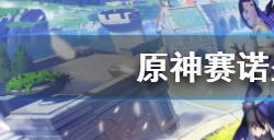 原神赛诺圣遗物选择什么好  赛诺圣遗物搭配推荐