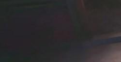《无限暖暖》照片调查动物的踪迹怎么做