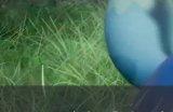 《幻兽帕鲁》小麦种子在哪购买 小麦种子购买位置详情