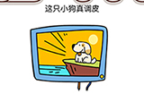 脑洞我最大第26关攻略  这只小狗真调皮