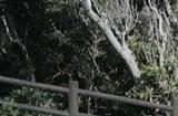 日本举行奇葩恐怖题材“失踪展”爆火  论何为真正恐怖