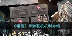 暖雪手游能联机吗  联机机制介绍