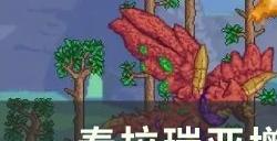 《泰拉瑞亚》增益家具有哪些 增益家具大全介绍