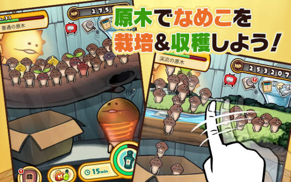 《菇菇栽培研究室Deluxe 极》2020年春季登场