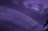《艾尔登法环：黑夜君临》今晚现已开启额外测试 补偿玩家