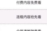 b站年度小会员介绍