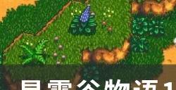 《星露谷物语》1.6鱿鱼节玩法介绍1.6鱿鱼节攻略