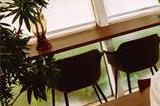 完蛋我被美女包围了第四章全结局攻略 第四章剧情100％探索攻略