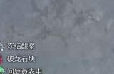 《怪物猎人：荒野》打暗器蛸技巧分享