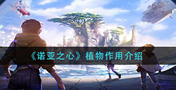 诺亚之心植物有什么用  植物作用介绍