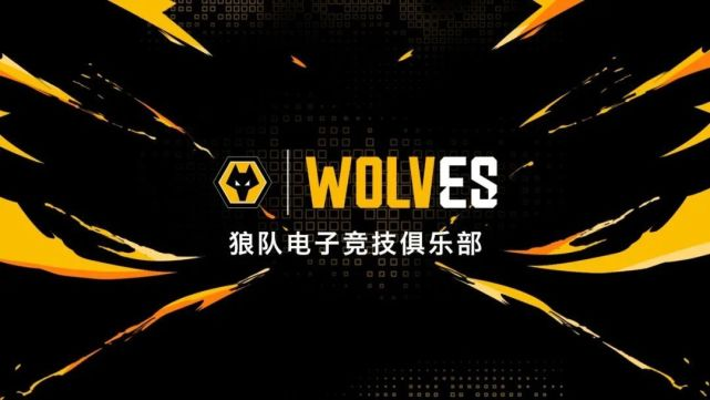 “双冠全华班”深圳狼队再临洲际赛场 FC Pro冠军杯8月19日打响巅峰角逐