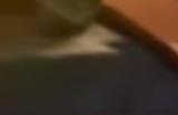 动视放弃《托尼霍克职业滑板 3＋4》 只为支持《使命召唤》开发