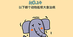 脑力黑洞第24关攻略  以下哪个动物能帮大象治病