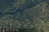 《艾尔登法环》集物虫位置 dlc穆尔任务集物虫制作笔记收集攻略